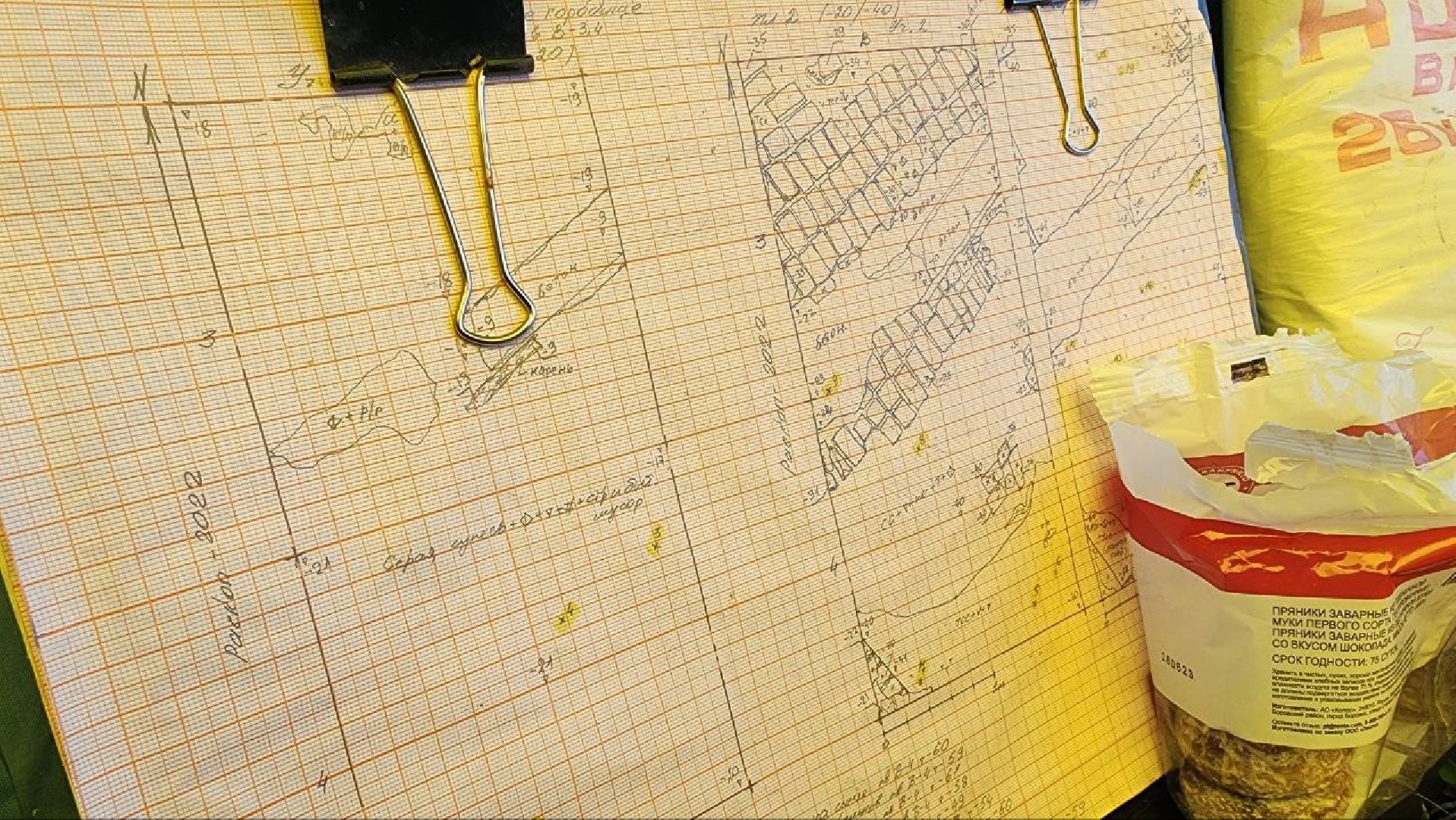 Институт Археологии РАН, Раскопки, Дмитровский кремль,