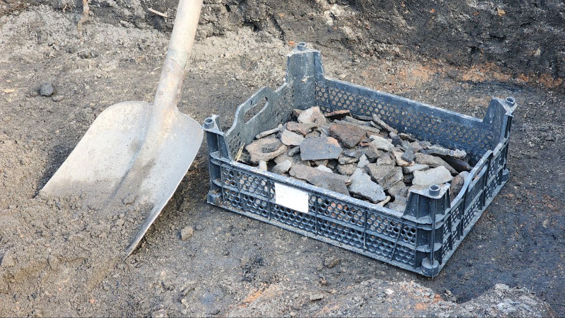 Институт Археологии РАН, Раскопки, Дмитровский кремль,