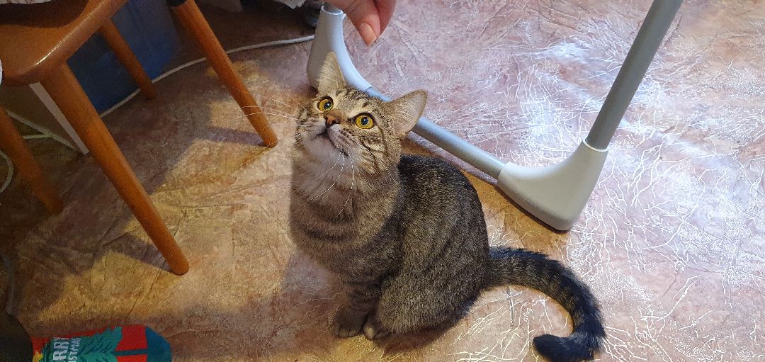 Дзержинский, безопасность, газовый анализатор, Подмосковье,ЖКХ