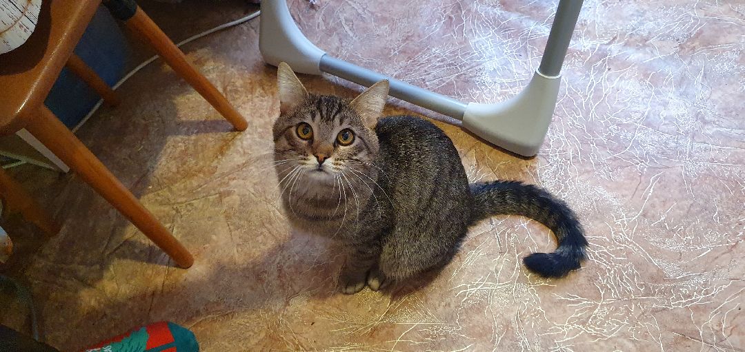 Дзержинский, безопасность, газовый анализатор, Подмосковье,ЖКХ