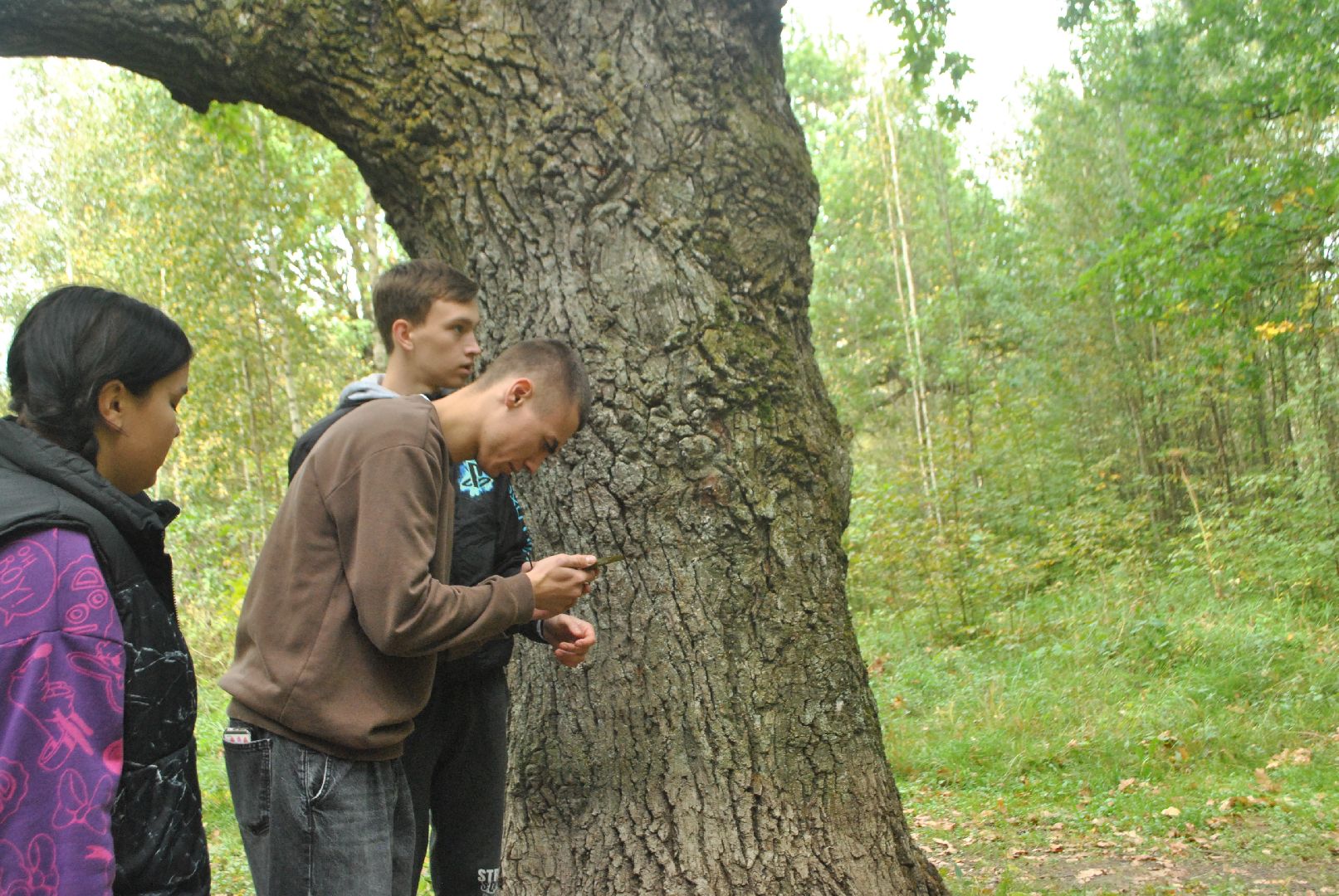 солнечногорск, марафон, квест, игра, ориентирование, дети, осень, хобби,