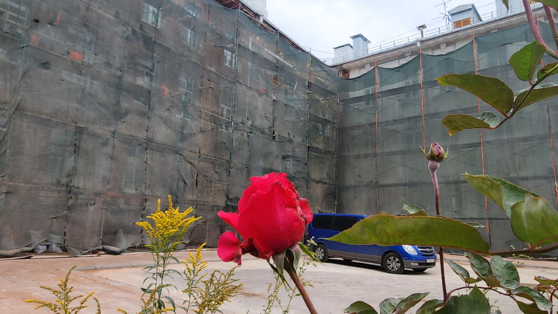 подмосковье, городской округ пушкинский, ивантеевка, наследие, реставрация,