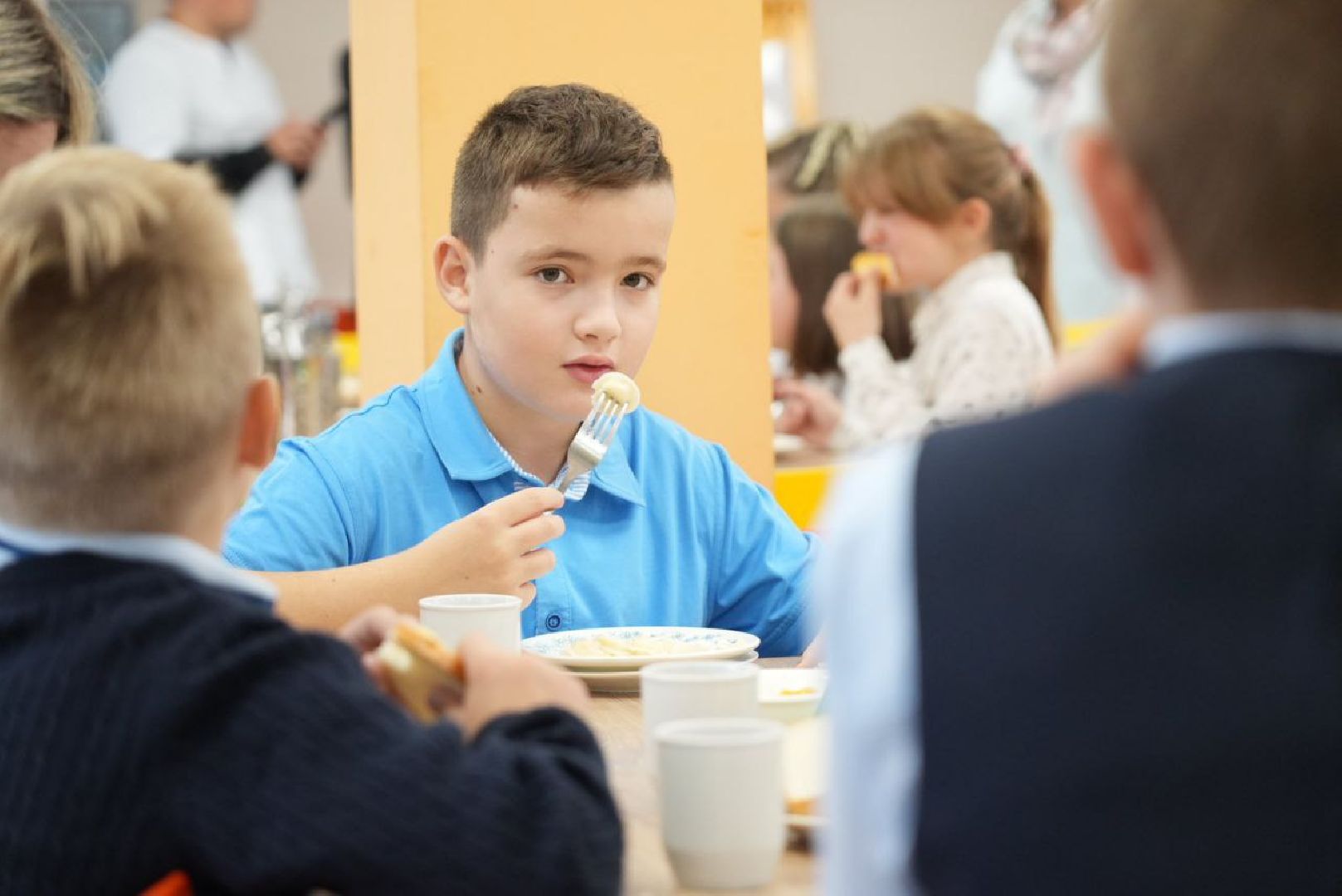 Сергиево-Посадский городской округ, Сергиев Посад, Школьное меню, Завтраки, Вареники, Школа, Ученики, Родители,