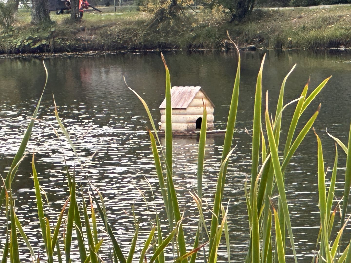 Одинцово, Благоустройство, Спорт,