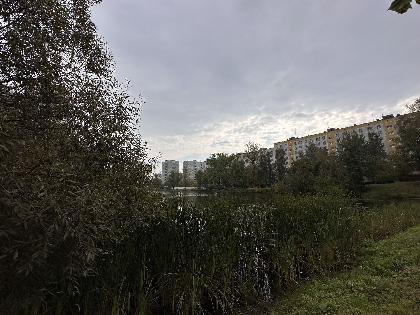 Одинцово, Благоустройство, Спорт,