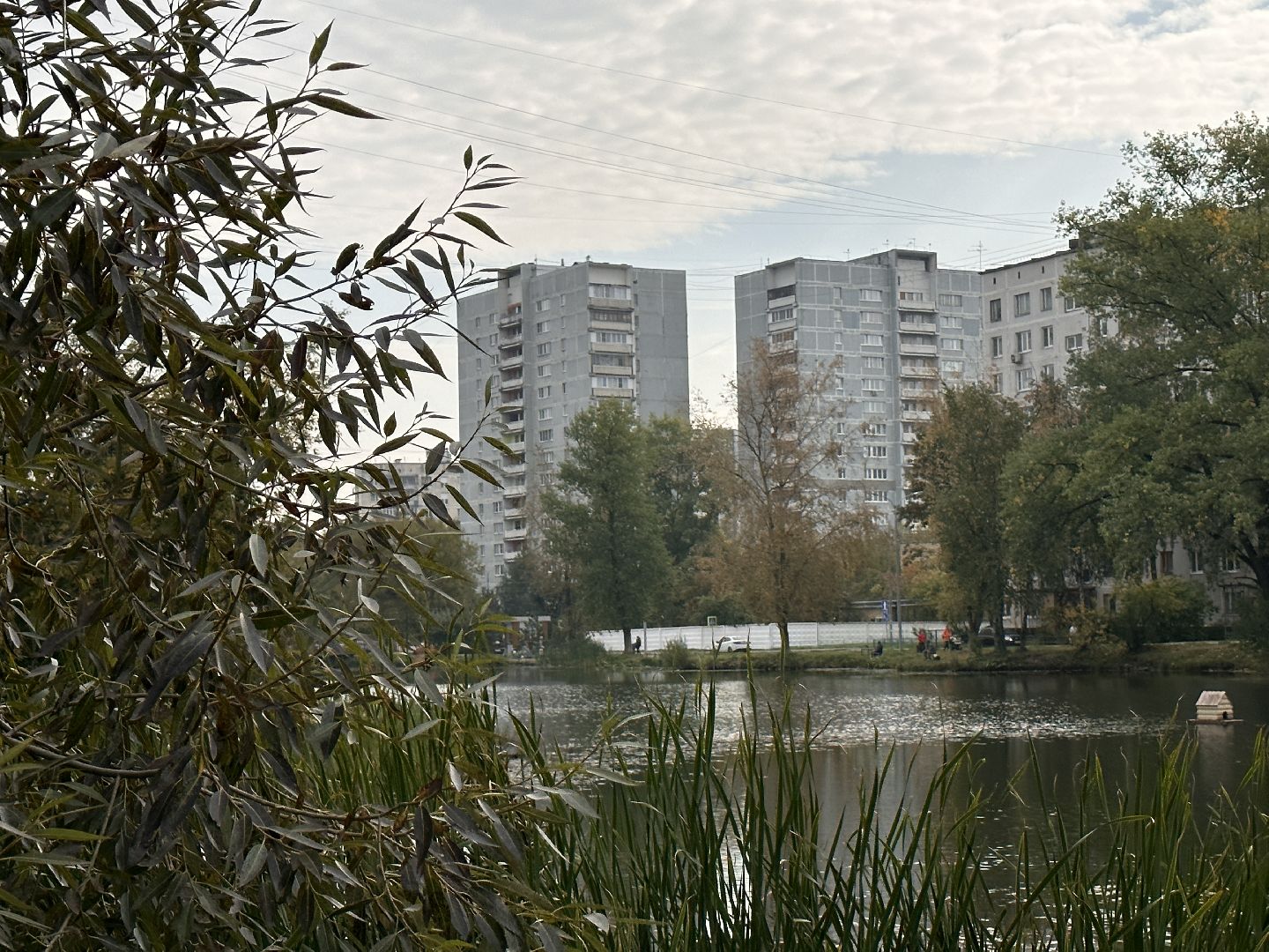 Одинцово, Благоустройство, Спорт,