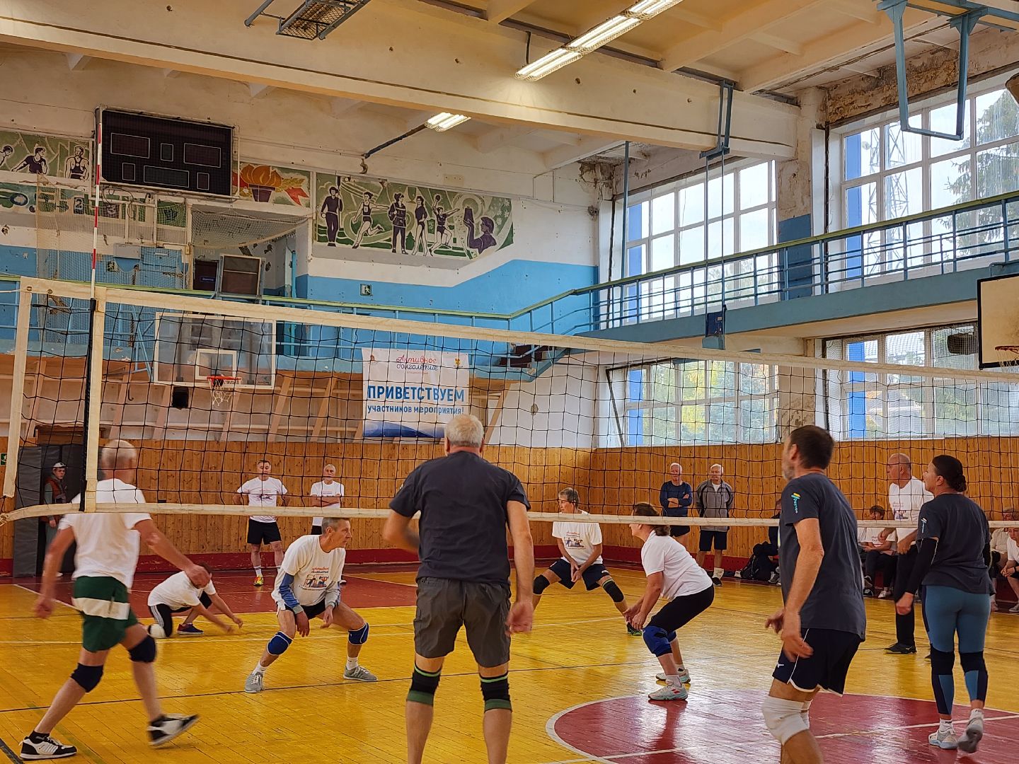 Активное долголетие, турнир, волейбол, Ногинск, Богородский городской округ,