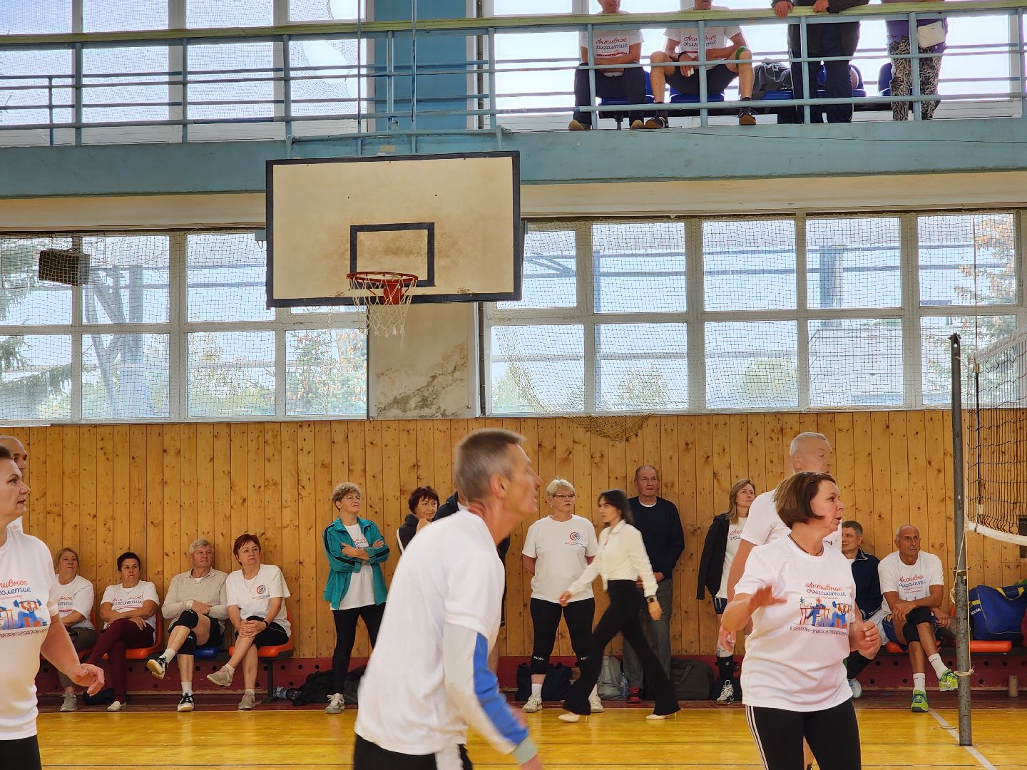 Активное долголетие, турнир, волейбол, Ногинск, Богородский городской округ,