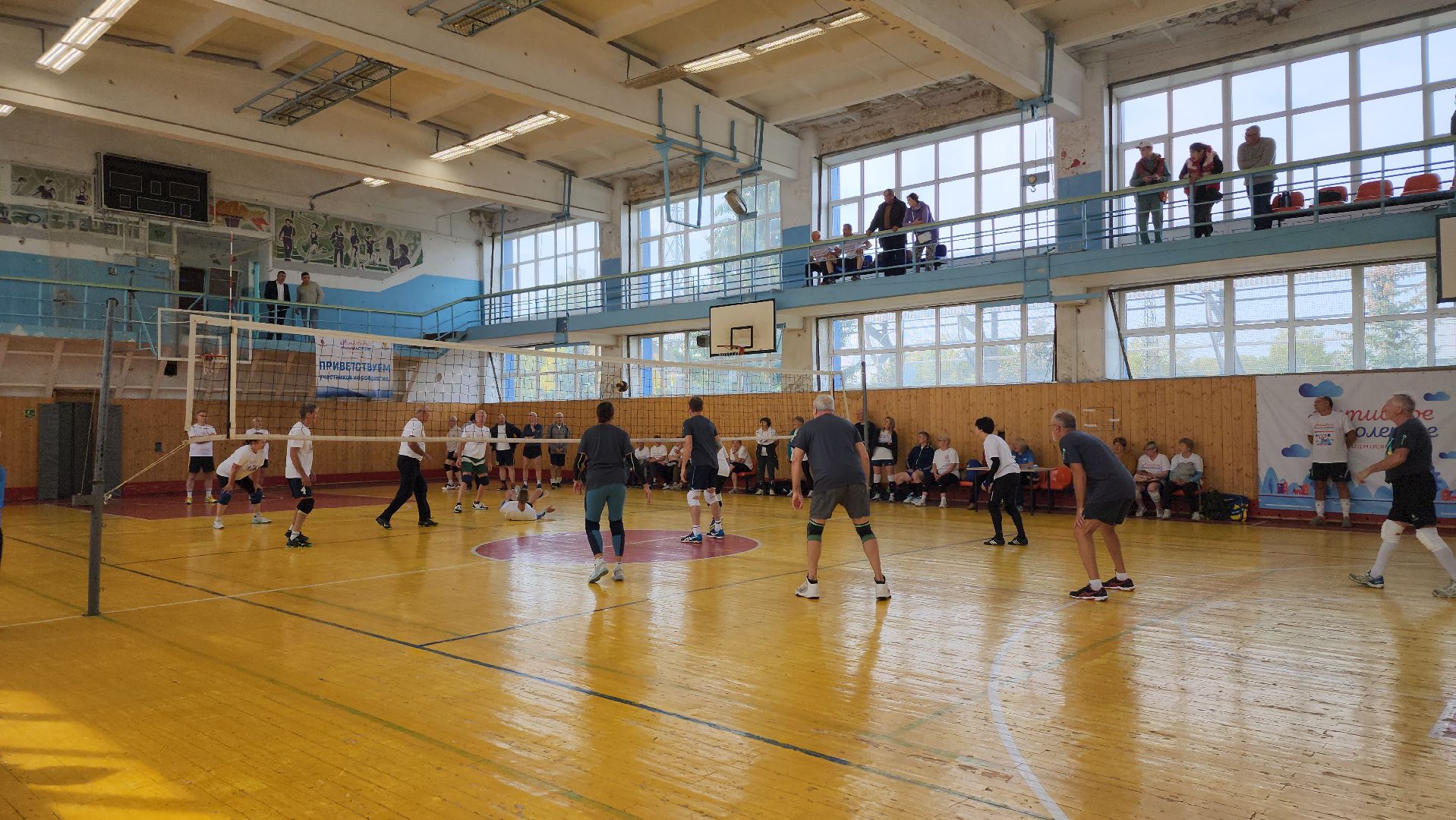 Активное долголетие, турнир, волейбол, Ногинск, Богородский городской округ,