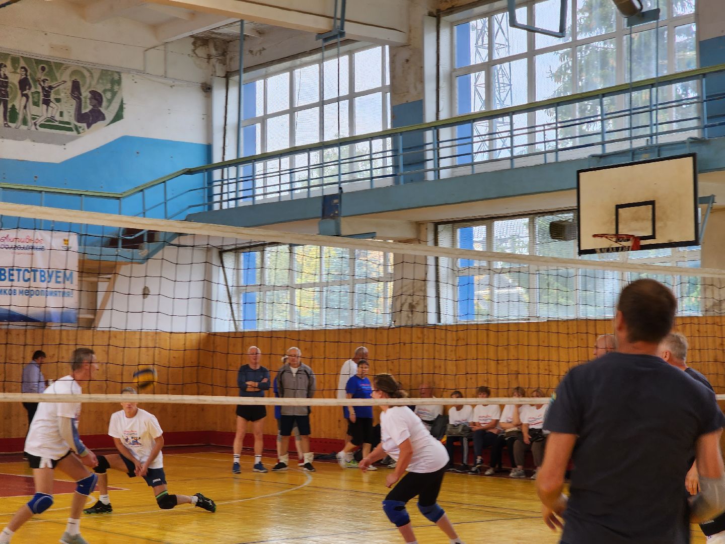 Активное долголетие, турнир, волейбол, Ногинск, Богородский городской округ,