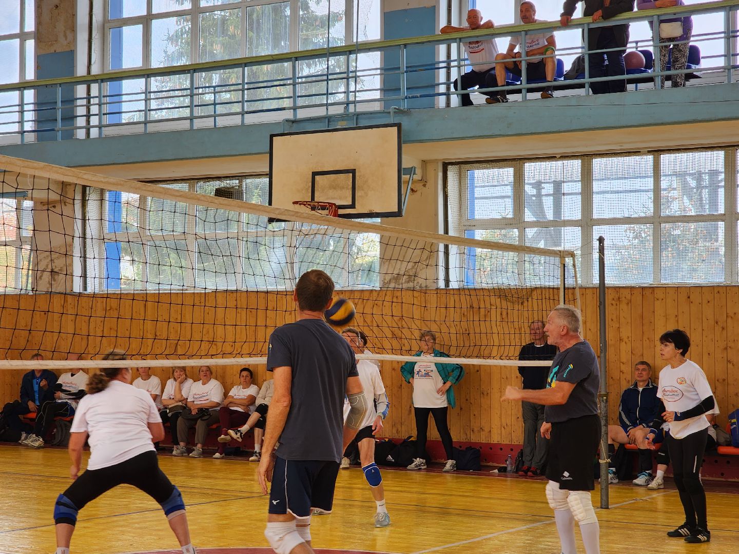 Активное долголетие, турнир, волейбол, Ногинск, Богородский городской округ,