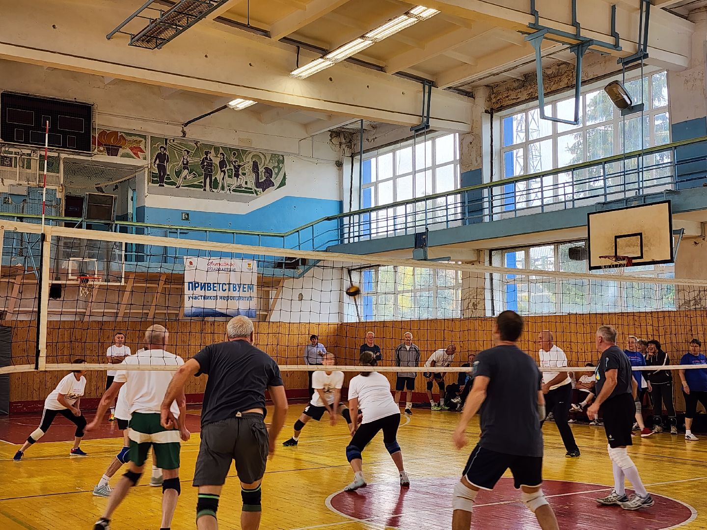 Активное долголетие, турнир, волейбол, Ногинск, Богородский городской округ,