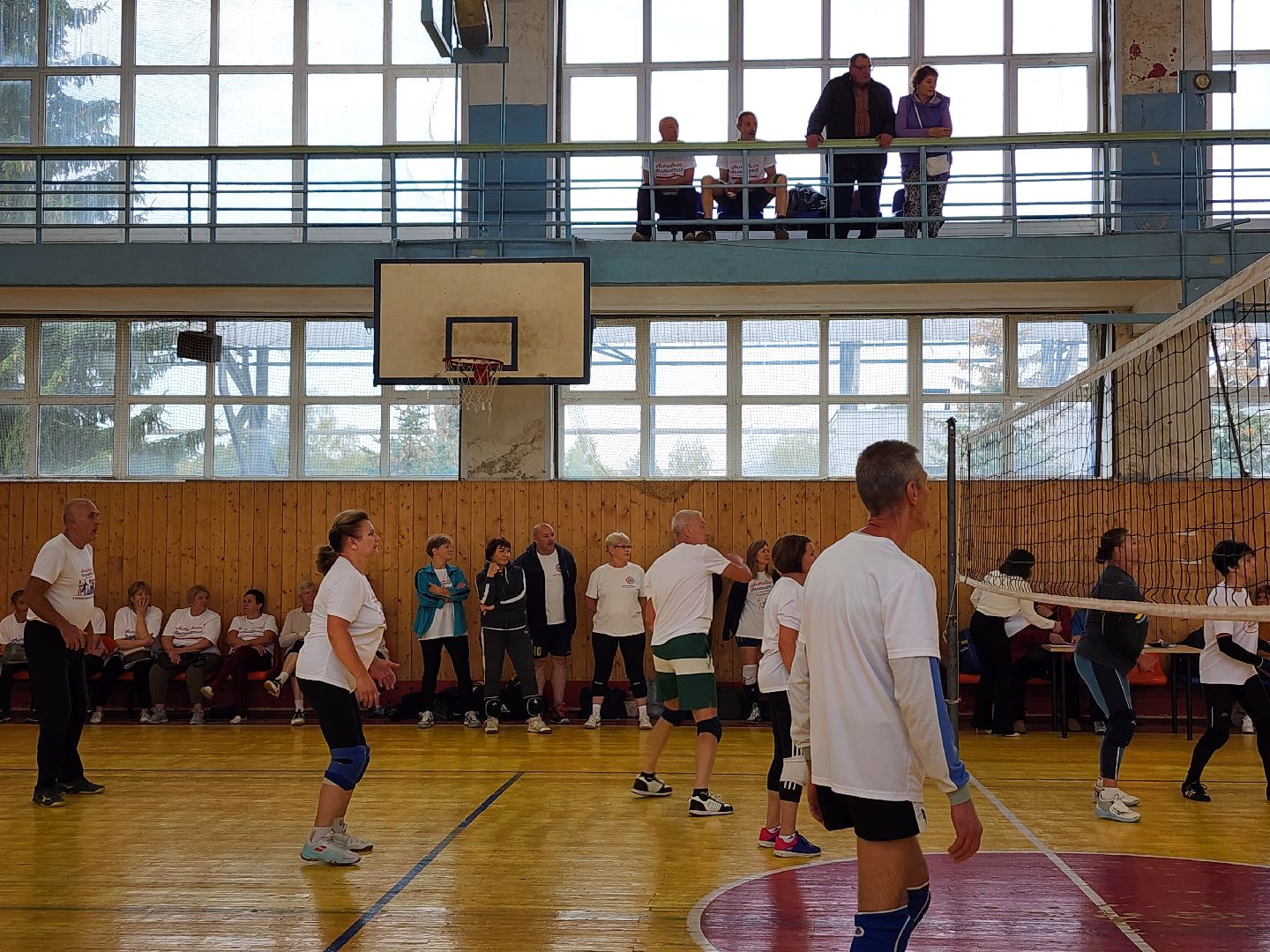 Активное долголетие, турнир, волейбол, Ногинск, Богородский городской округ,