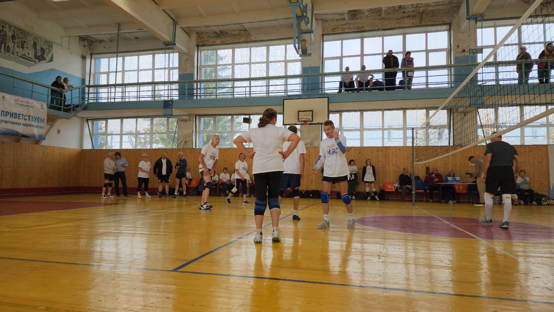 Активное долголетие, турнир, волейбол, Ногинск, Богородский городской округ,