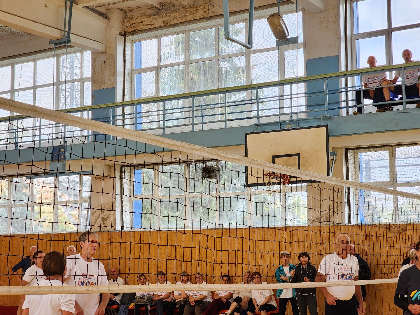 Активное долголетие, турнир, волейбол, Ногинск, Богородский городской округ,