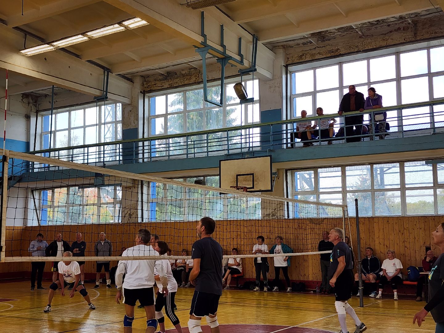 Активное долголетие, турнир, волейбол, Ногинск, Богородский городской округ,
