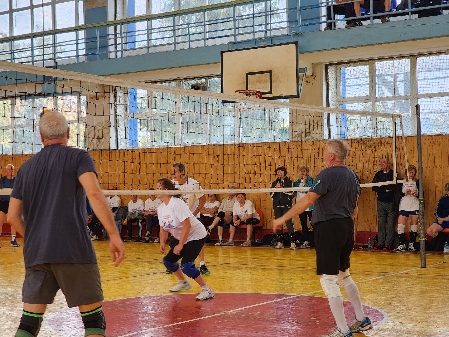 Активное долголетие, турнир, волейбол, Ногинск, Богородский городской округ,