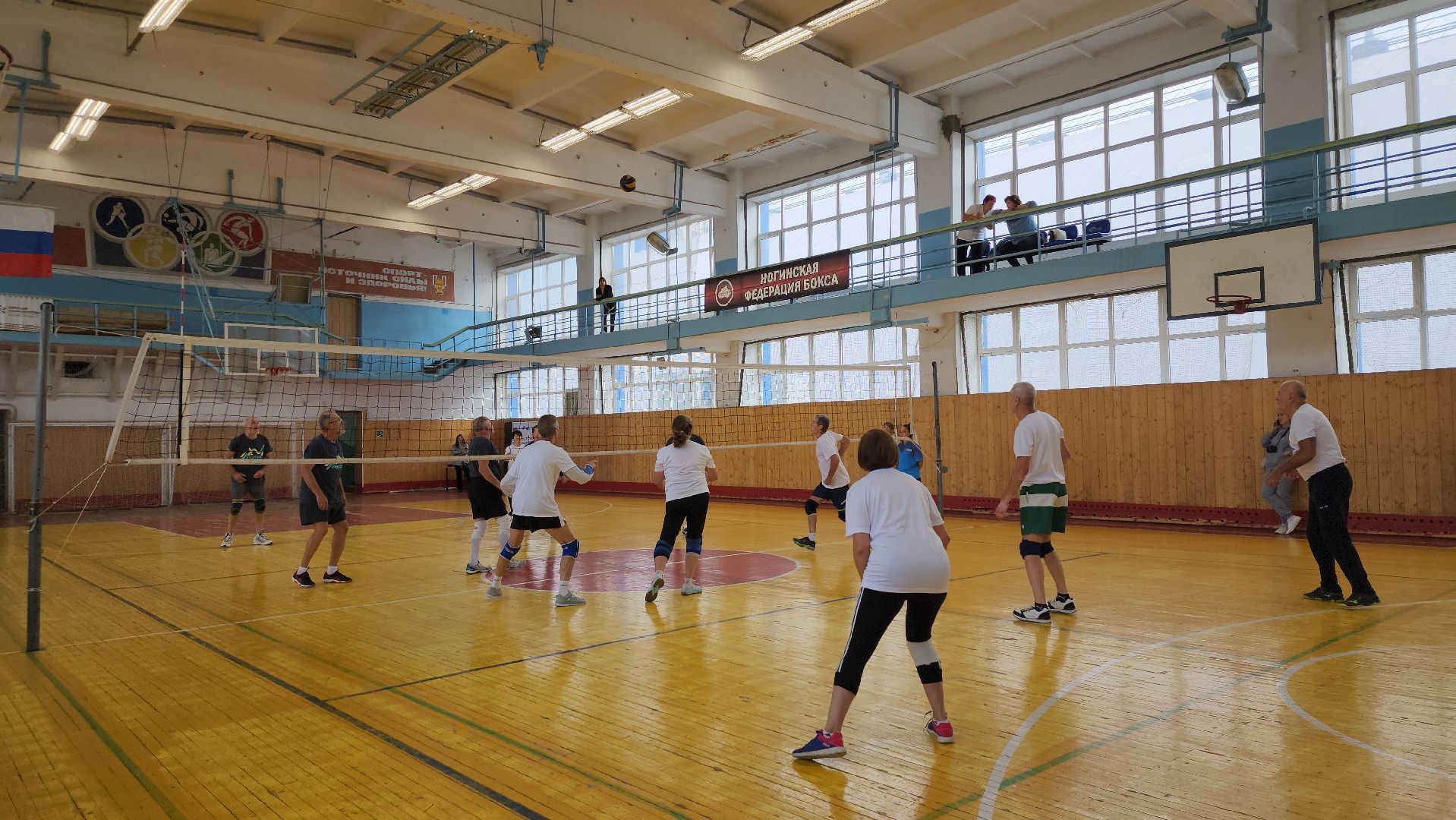 Активное долголетие, турнир, волейбол, Ногинск, Богородский городской округ,