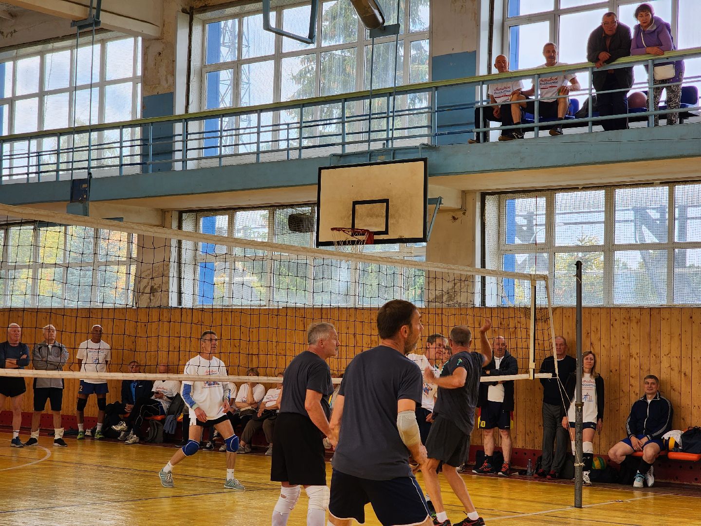 Активное долголетие, турнир, волейбол, Ногинск, Богородский городской округ,