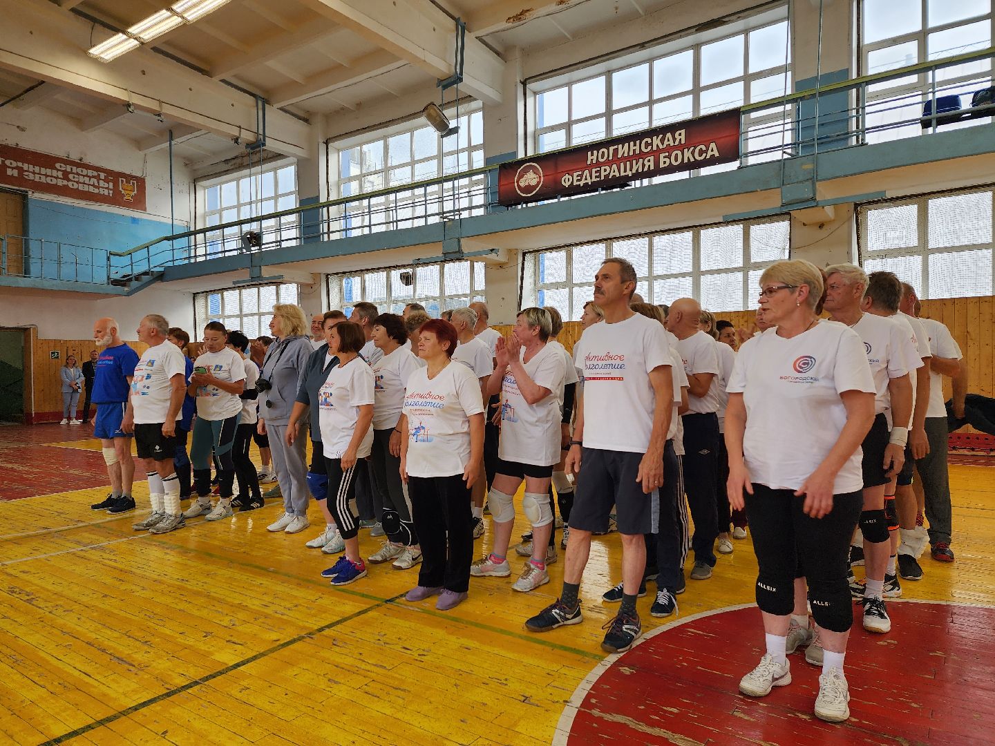 Активное долголетие, турнир, волейбол, Ногинск, Богородский городской округ,