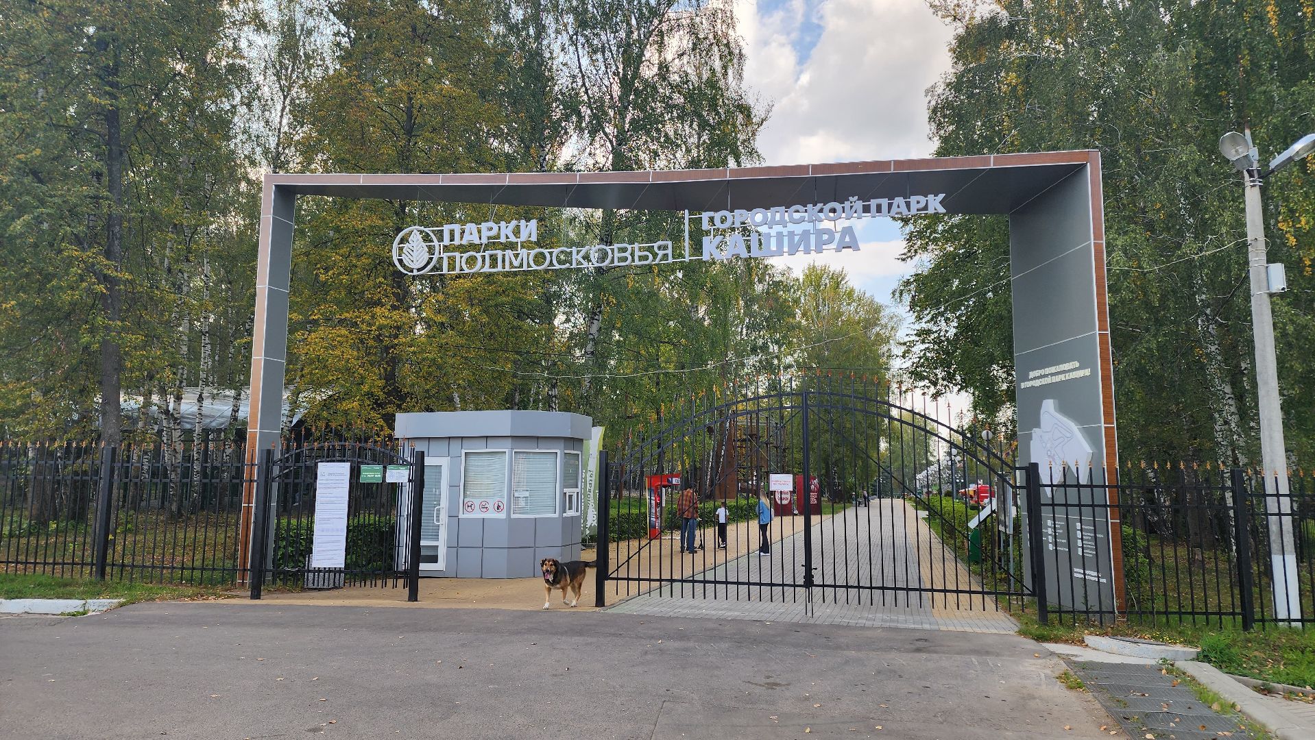 кашира, парк, фотоконкурс, осень, грибы, рога,