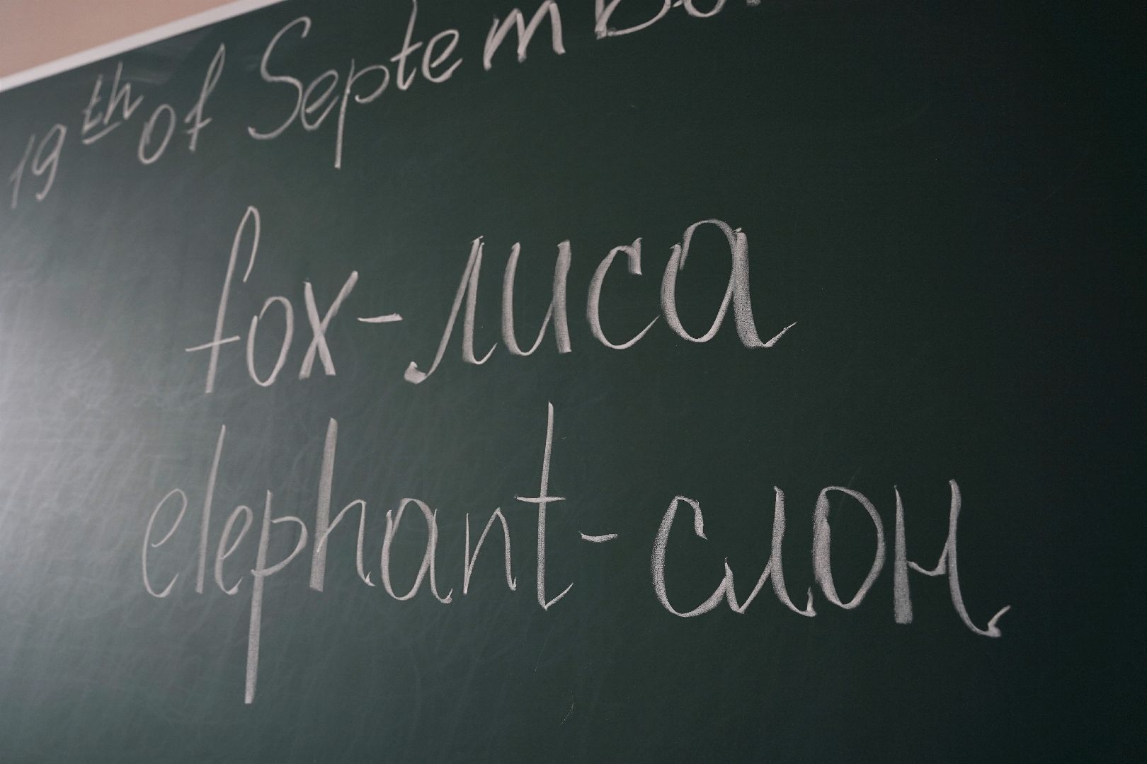 Рошаль, молодой специалист, школа, Год педагога и наставника, Большая Шатура,