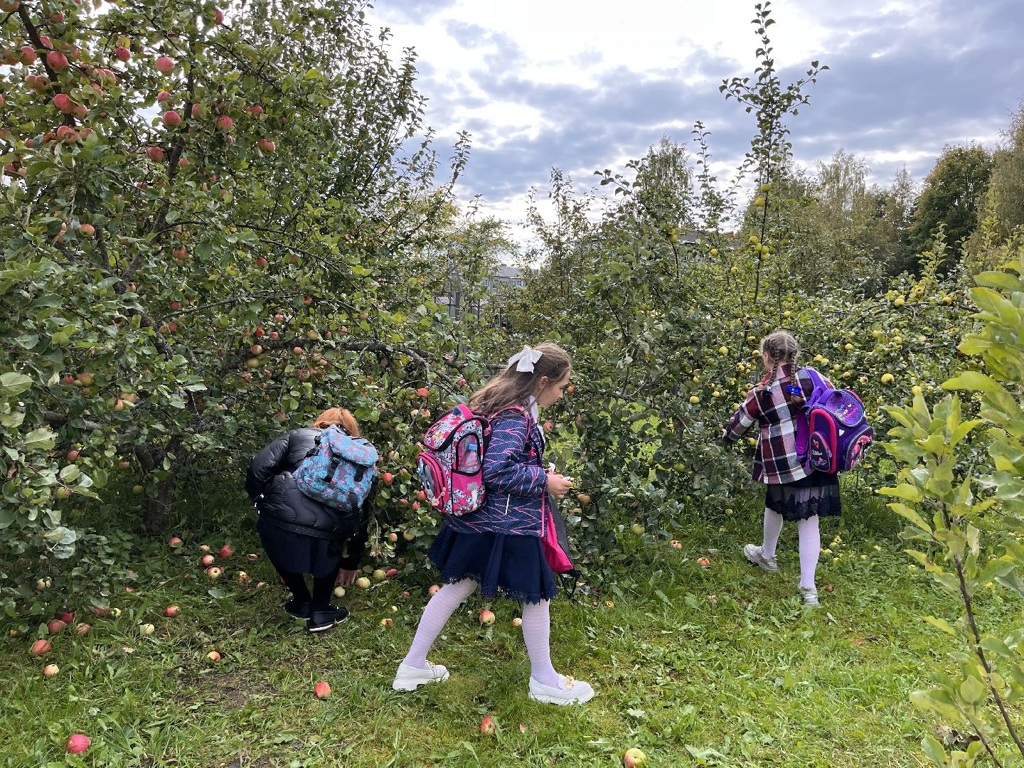 шаховская, учитель, ученики, школа,