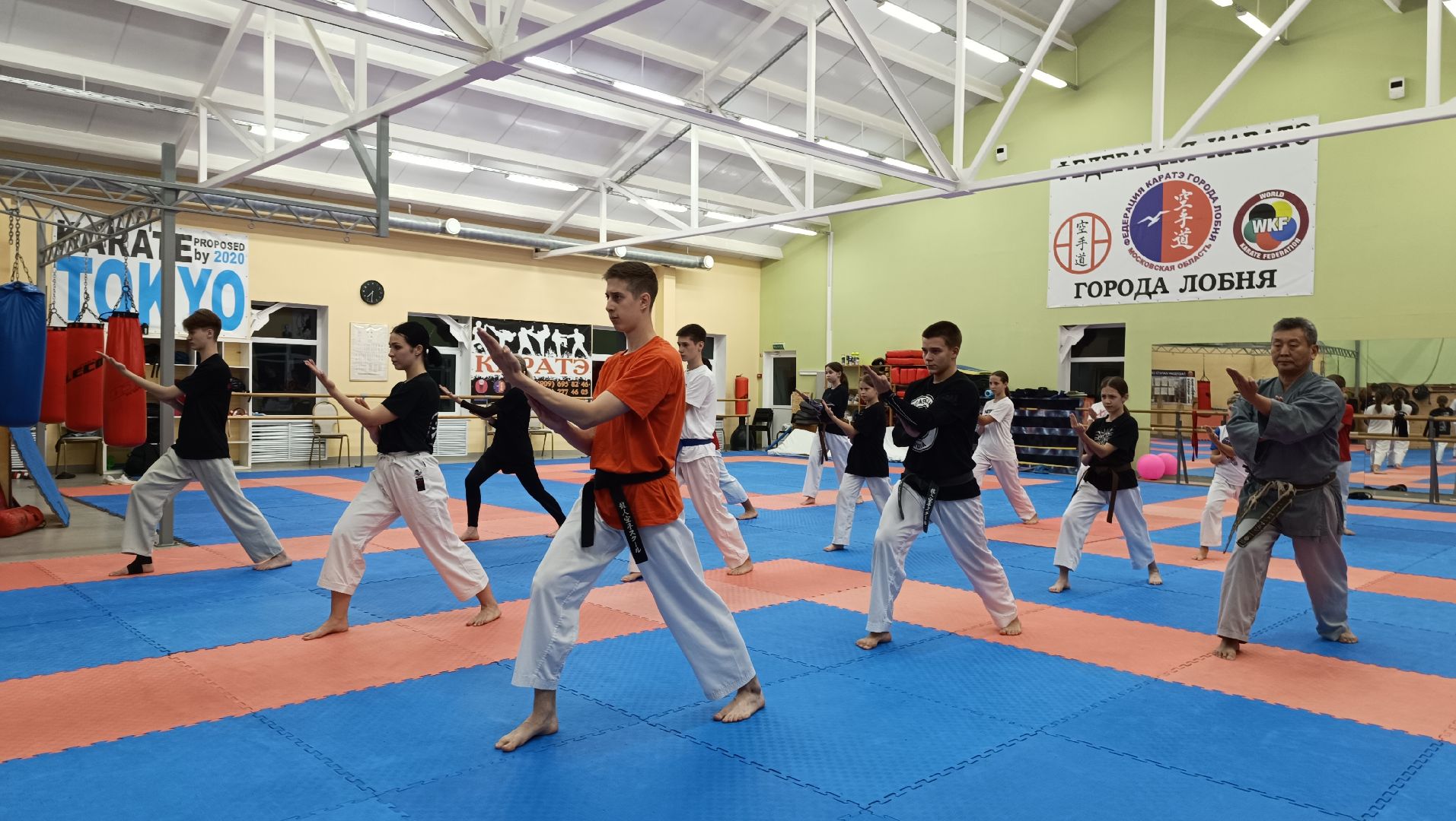 карате, лобня, спорт,