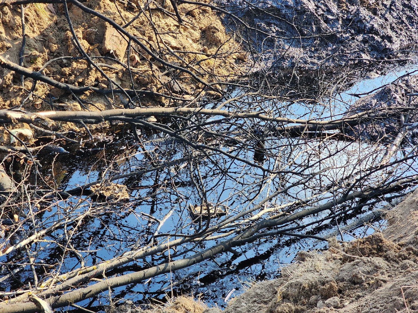 Ступино, разлив нефтепродуктов, экология,