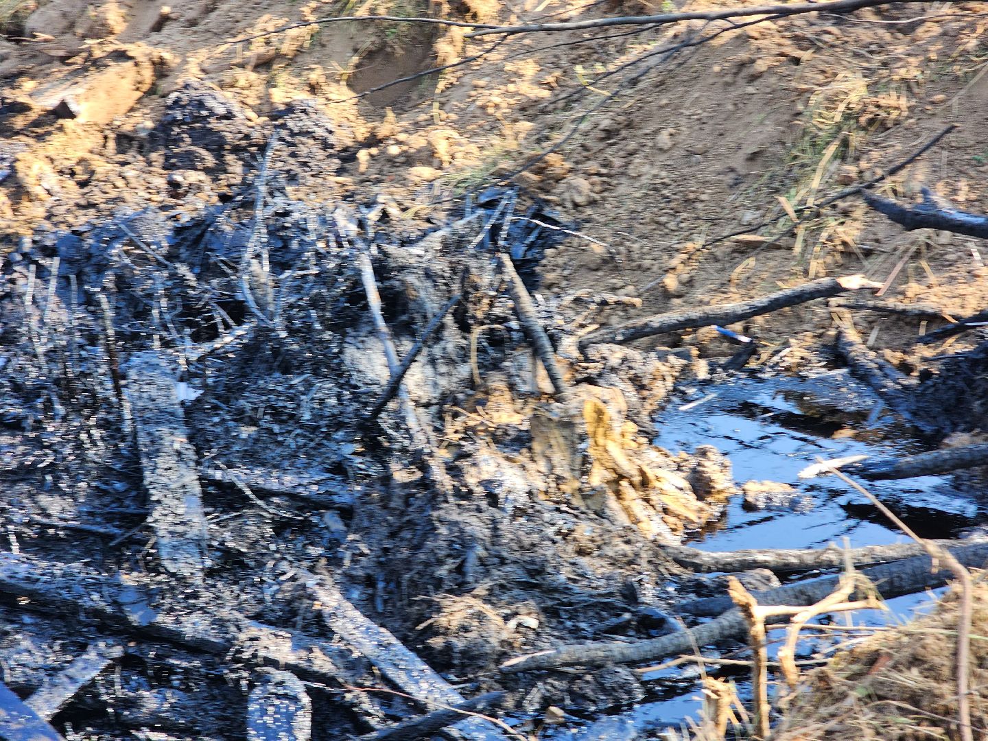 Ступино, разлив нефтепродуктов, экология,