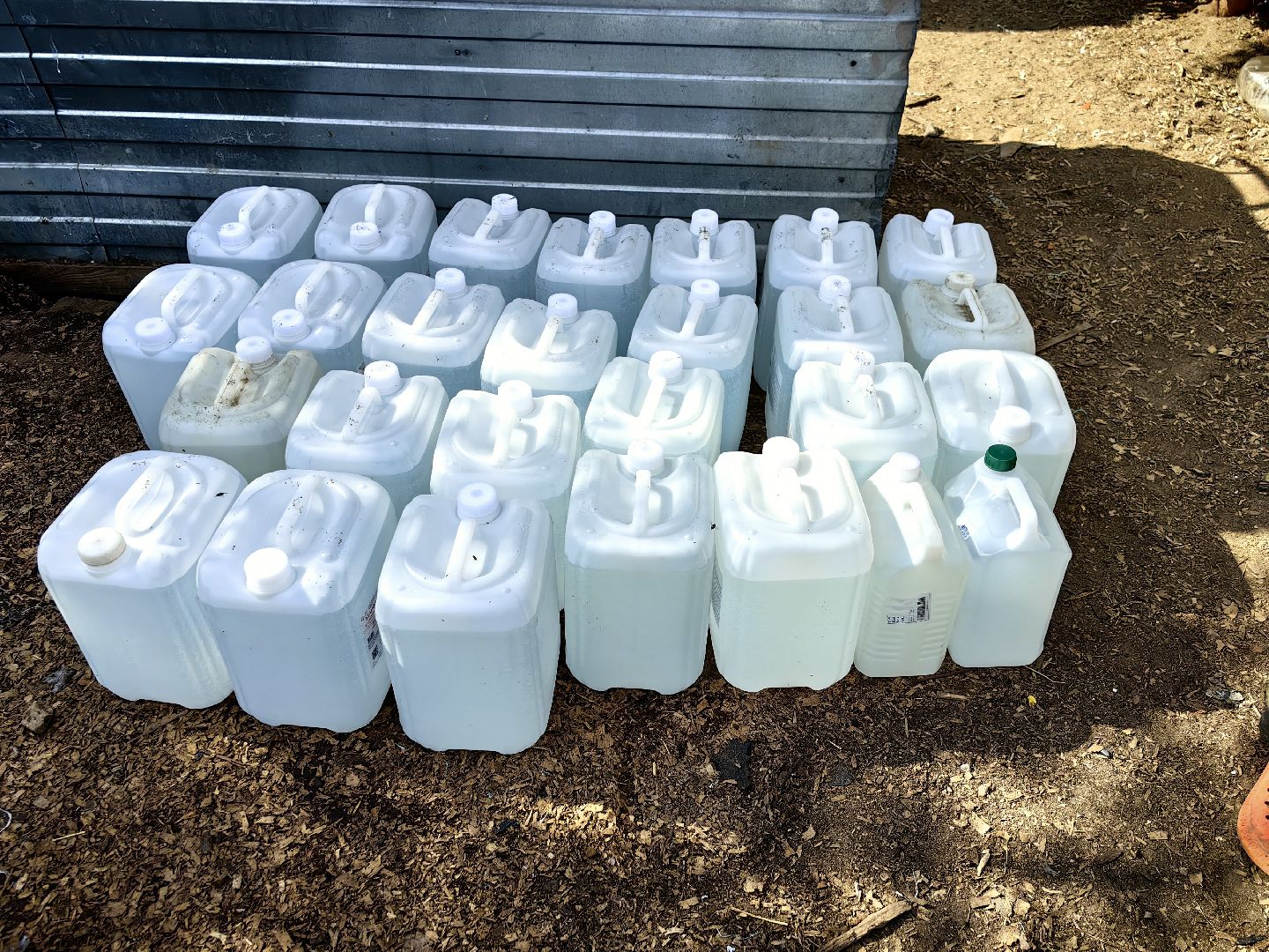 собака, приют для животных, корм, вольер,