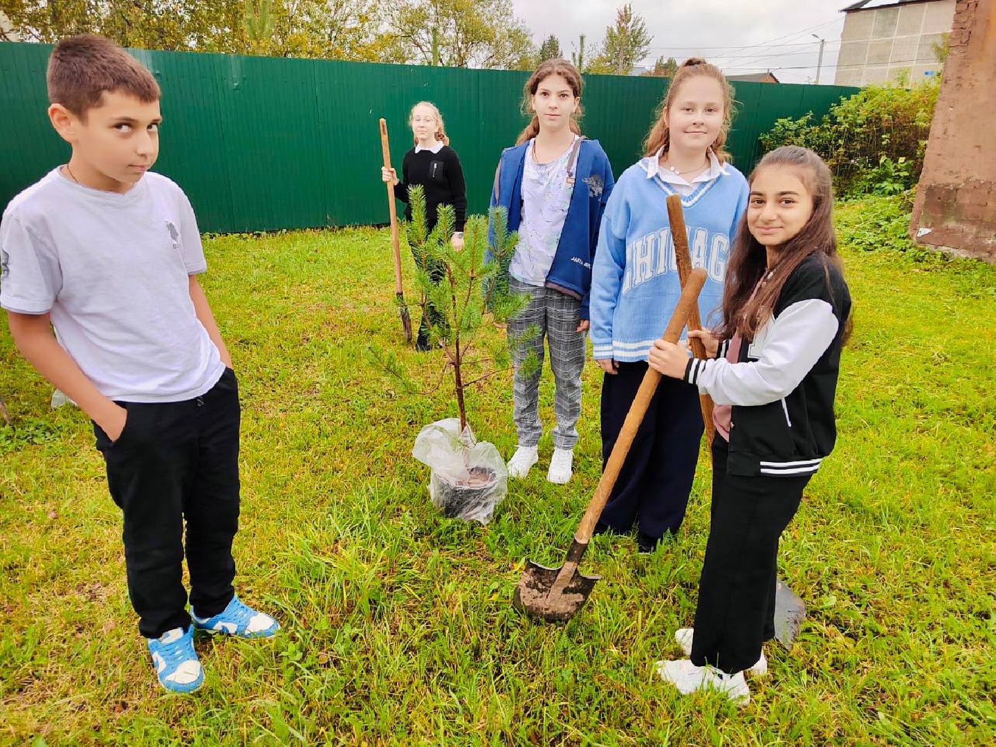 Солнечногорск, акция, посади дерево, экология, школьники,