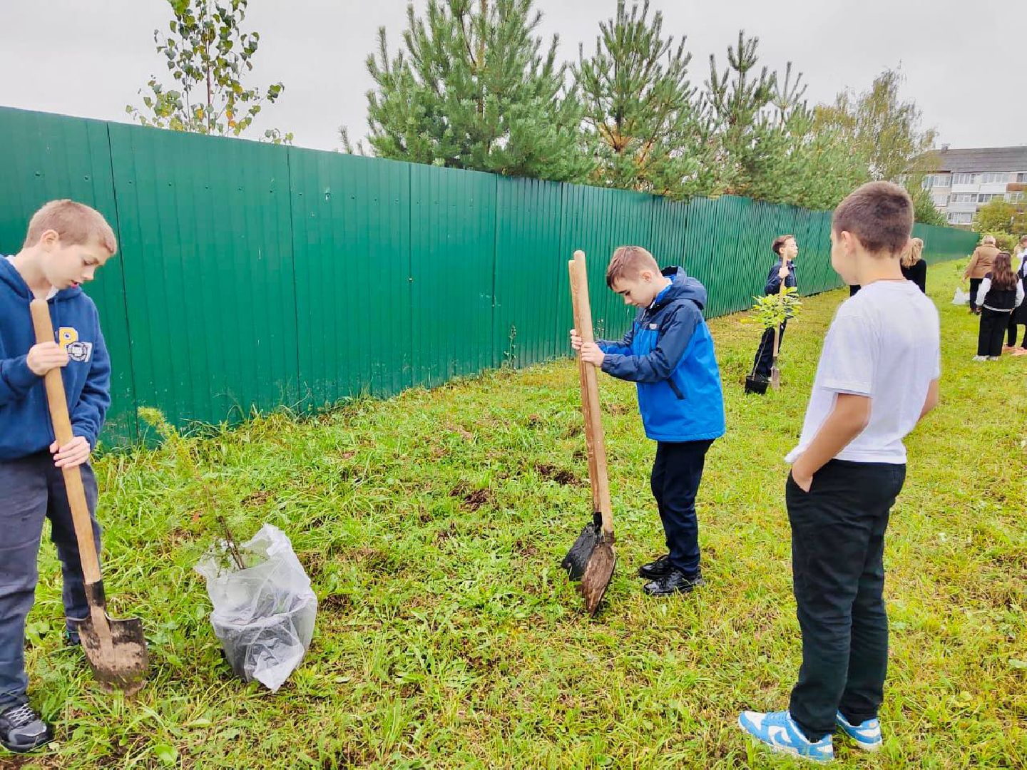 Солнечногорск, акция, посади дерево, экология, школьники,