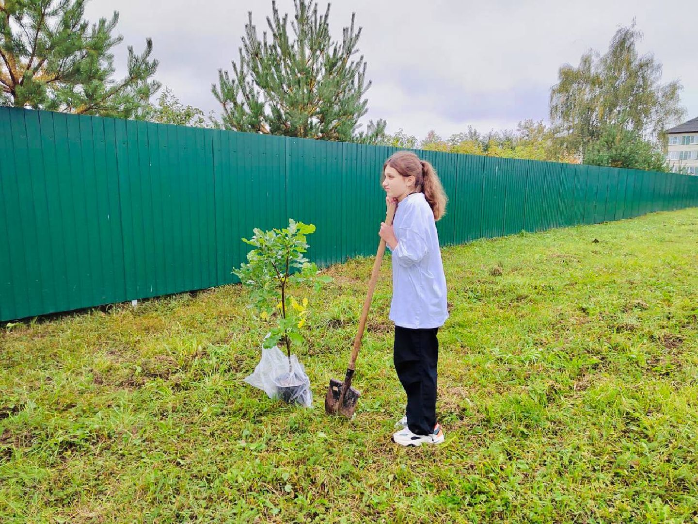 Солнечногорск, акция, посади дерево, экология, школьники,