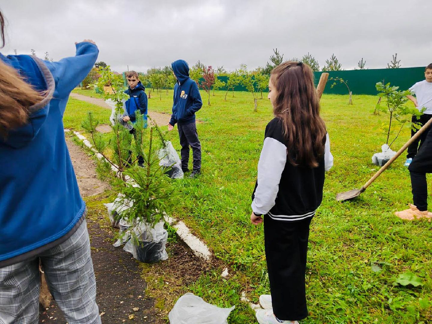 Солнечногорск, акция, посади дерево, экология, школьники,