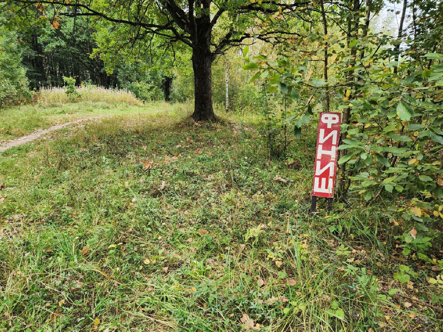 Солнечногорск, кросс, школьники, бег, победа,