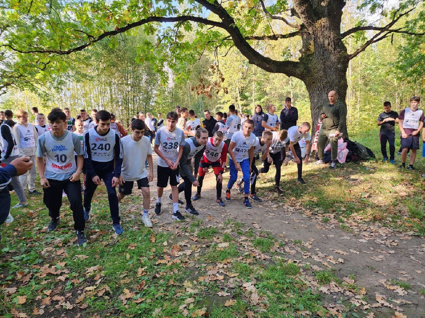 Солнечногорск, кросс, школьники, бег, победа,
