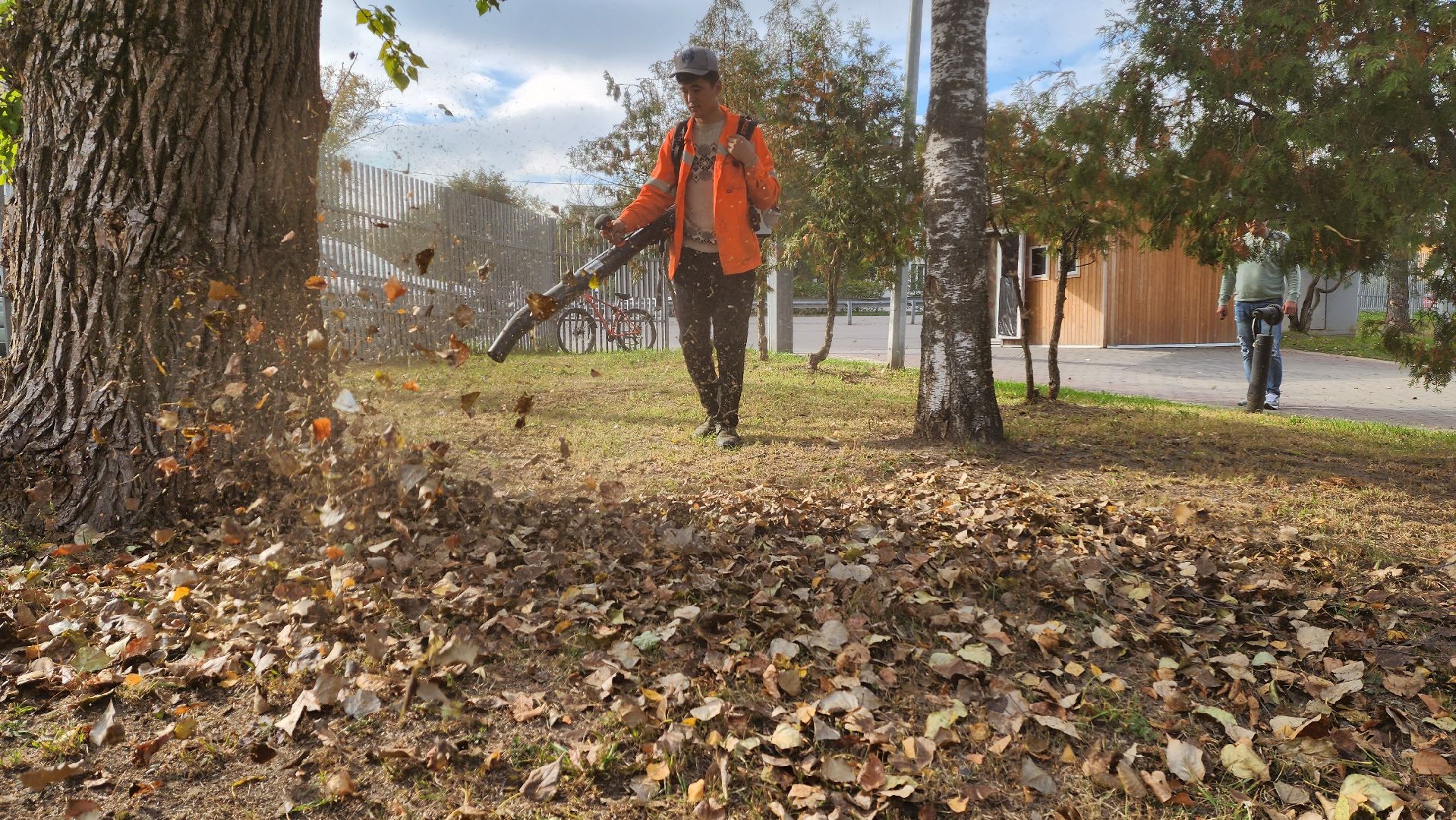 подмосковье, г.о. пушкинский, ивантеевка, благоустойство, парки подмосковья,