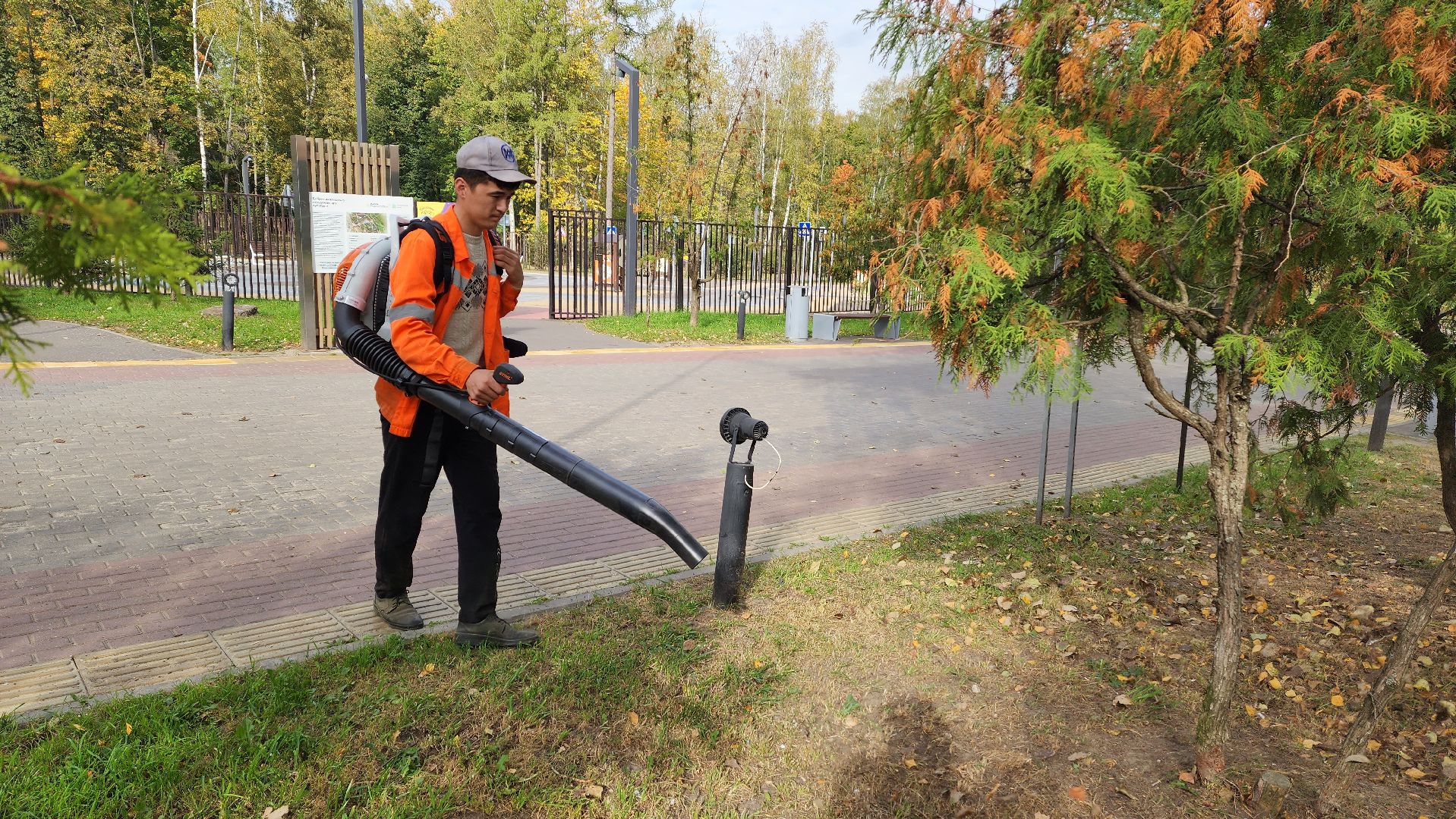 подмосковье, г.о. пушкинский, ивантеевка, благоустойство, парки подмосковья,