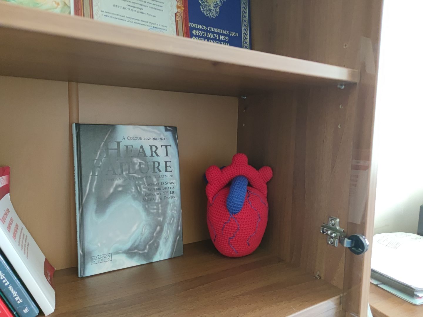 вязание крючком, игрушки, рукоделие, дубна,