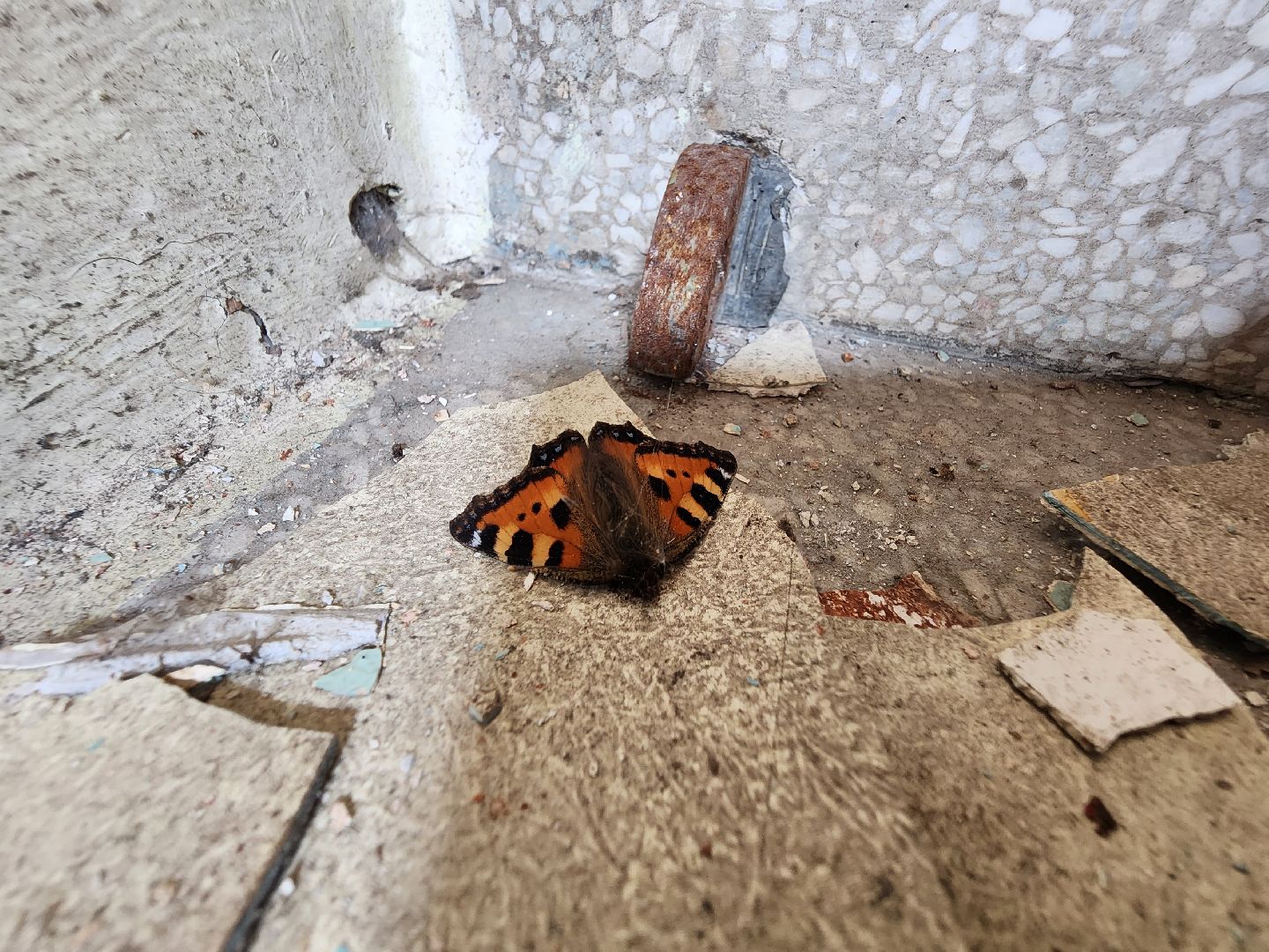 Дача Сталина, мытищи, ДОМ РФ, Липки-Алексеевское,