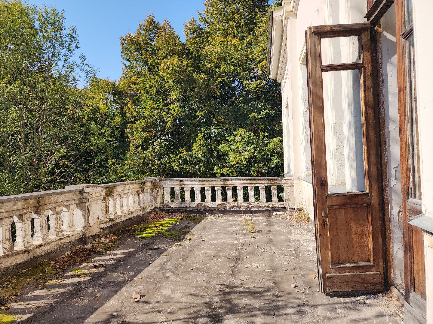 Дача Сталина, мытищи, ДОМ РФ, Липки-Алексеевское,