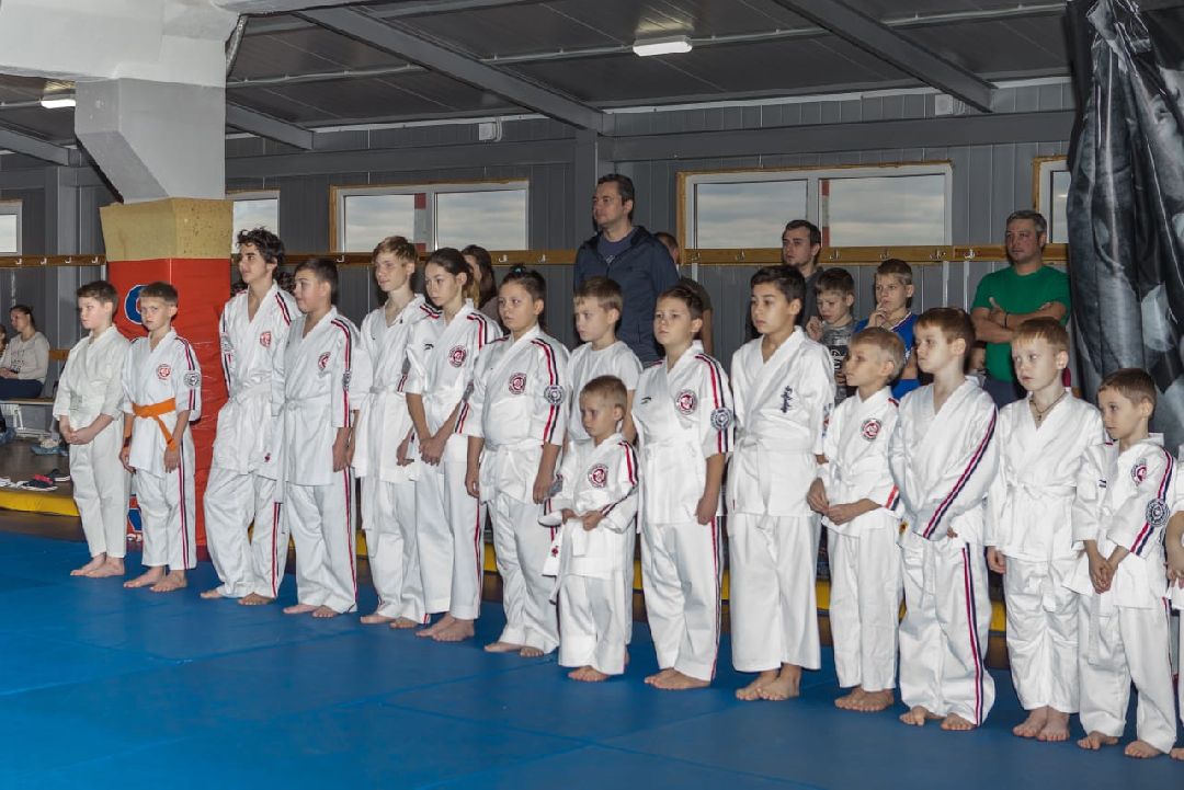 спорт, каратэ, победитель, соревнования, Международный фестиваль спортивных единоборств