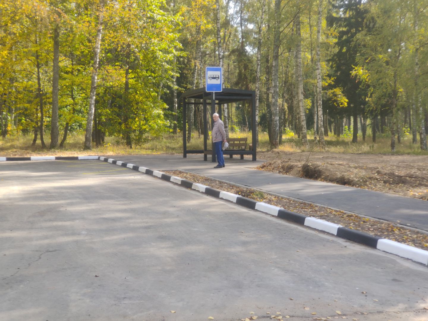 красноармейск, г.о. пушкинский, дороги, транспорт,