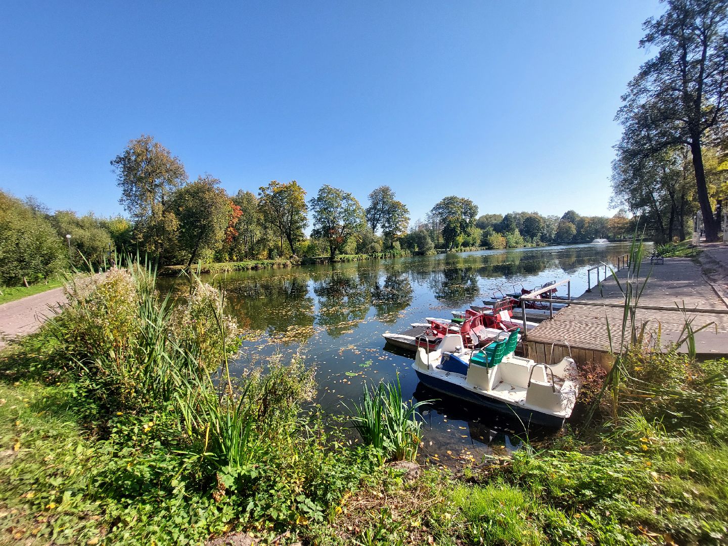 Городской парк, комфортная среда, губернаторская программа, Отдых,