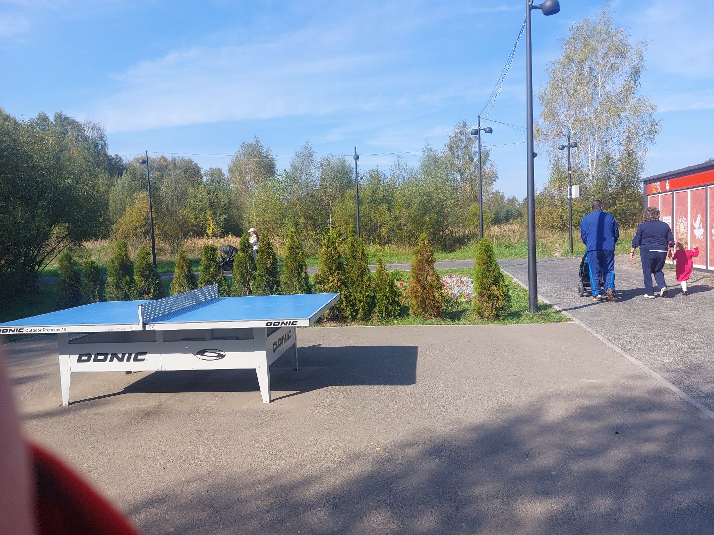 Городской парк, комфортная среда, губернаторская программа, Отдых,