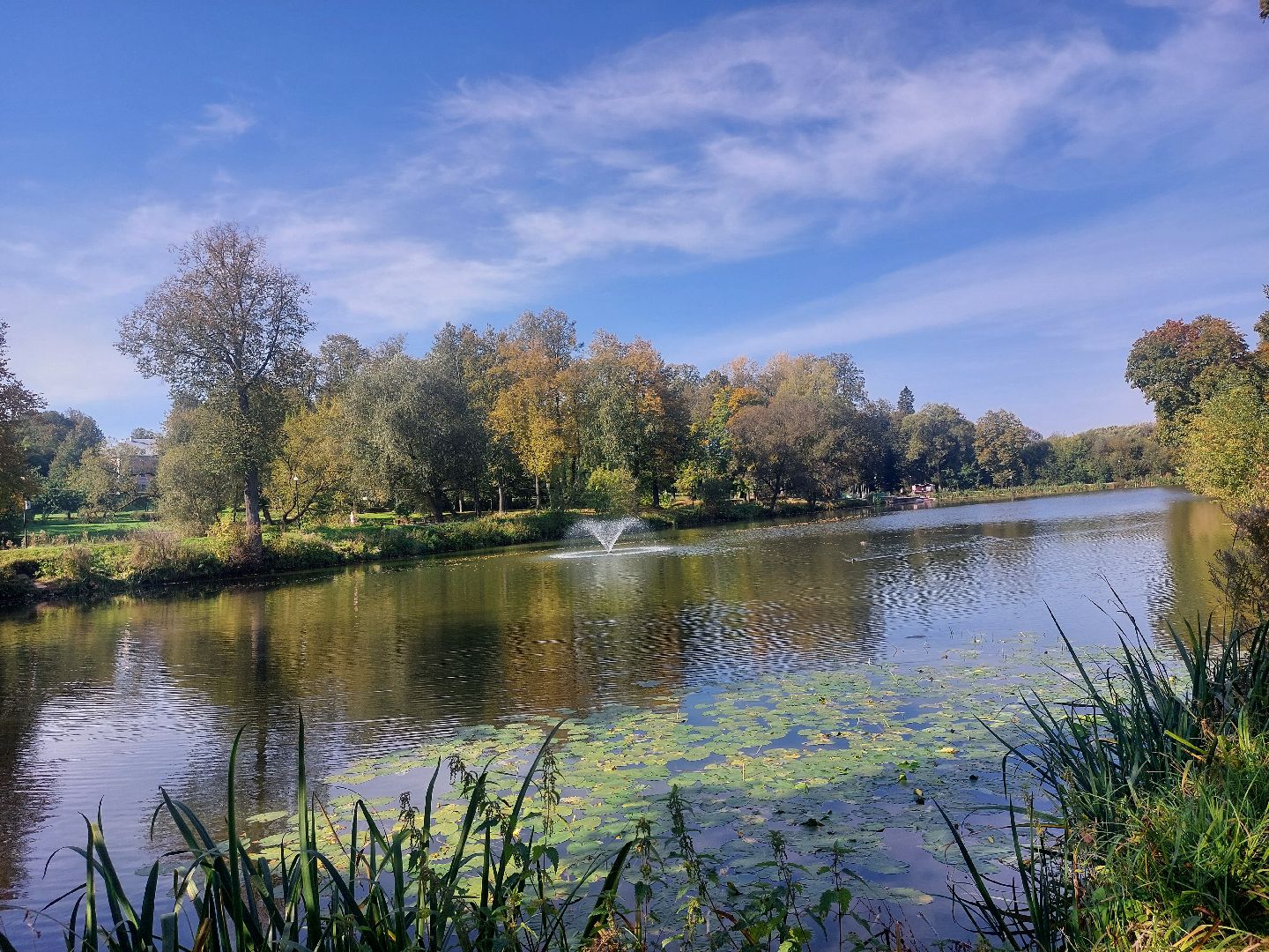 Городской парк, комфортная среда, губернаторская программа, Отдых,
