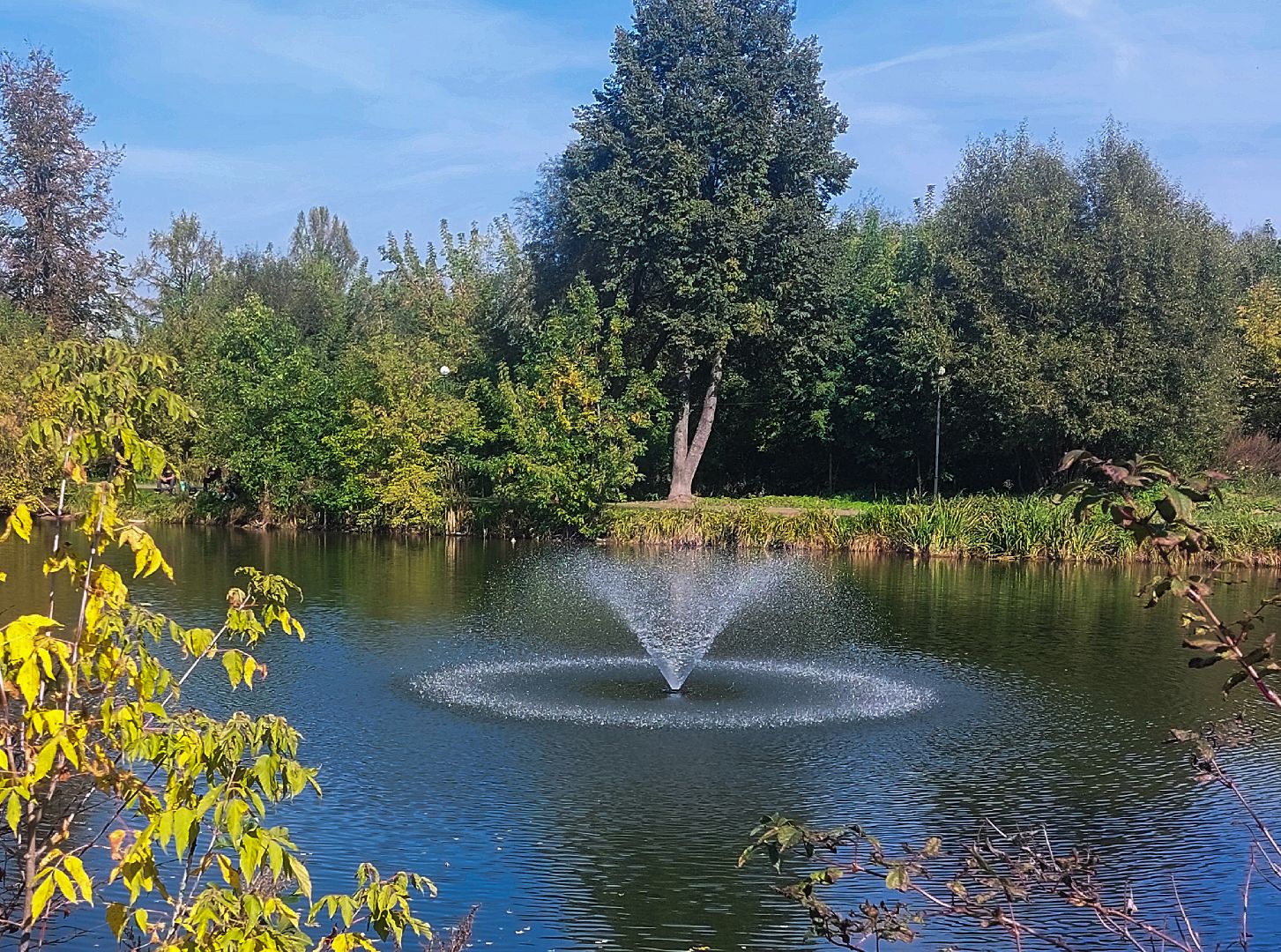 Городской парк, комфортная среда, губернаторская программа, Отдых,