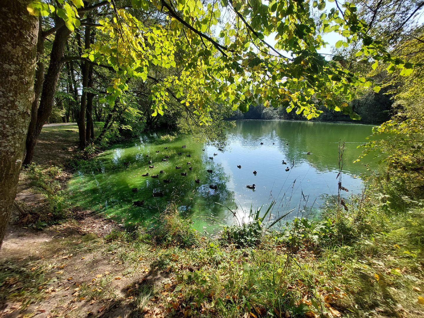 Городской парк, комфортная среда, губернаторская программа, Отдых,