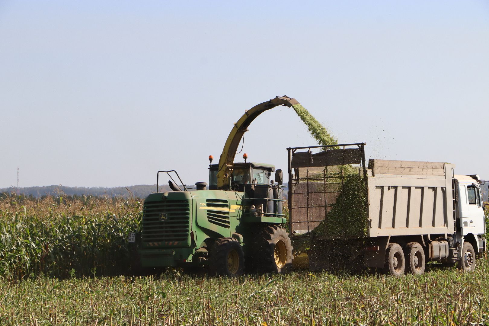 Серебряные Пруды, сельское хозяйство, подмосковье, корм,